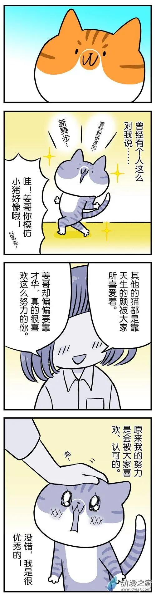 第16回 光靠卖萌，成不了网红猫-第16话