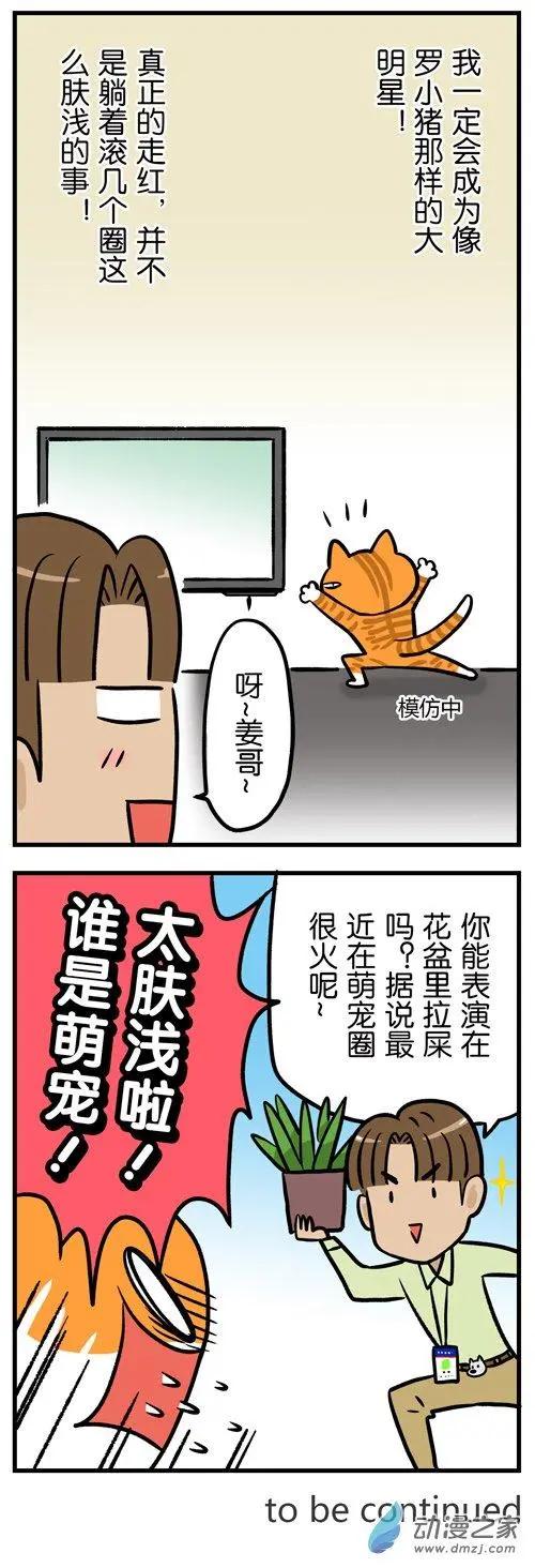 第16回 光靠卖萌，成不了网红猫-第16话