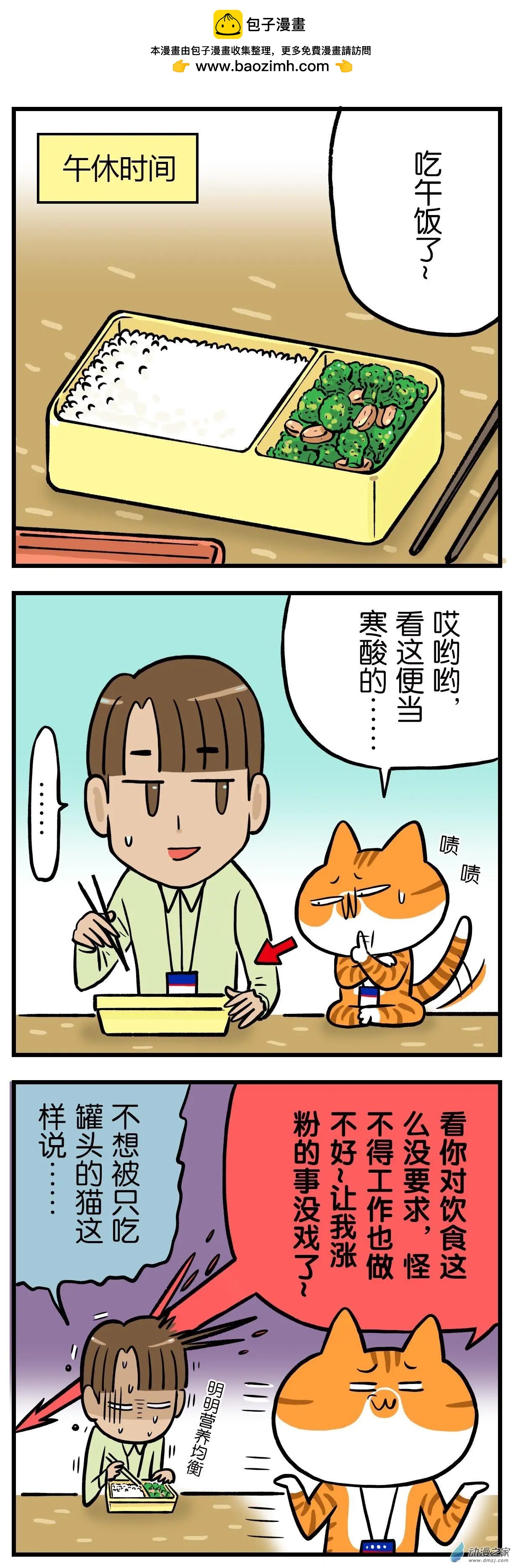 第20回 猫做的便当你敢吃吗？-第20话