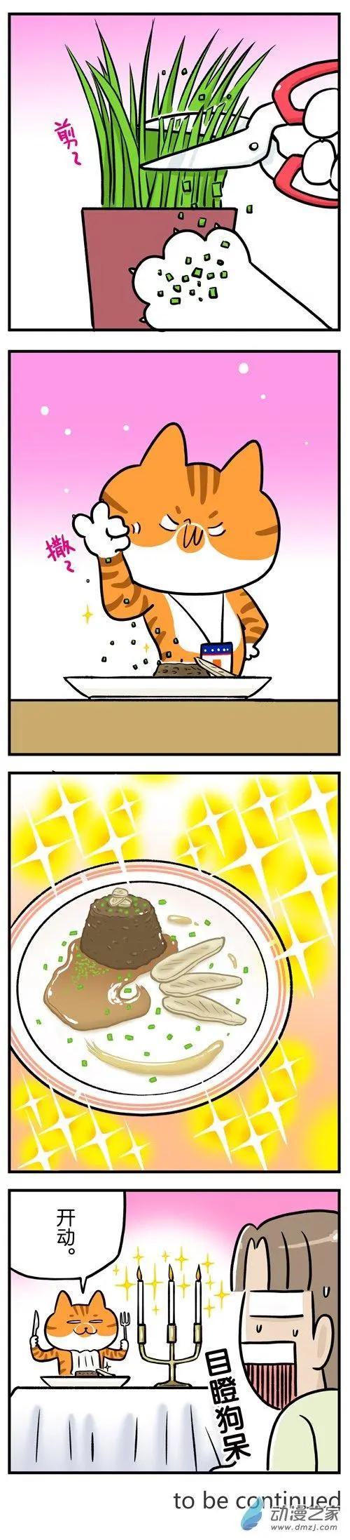 第20回 猫做的便当你敢吃吗？-第20话