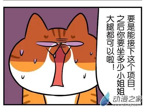 第24回 说什么撸猫，你明明是在骚扰！-第24话