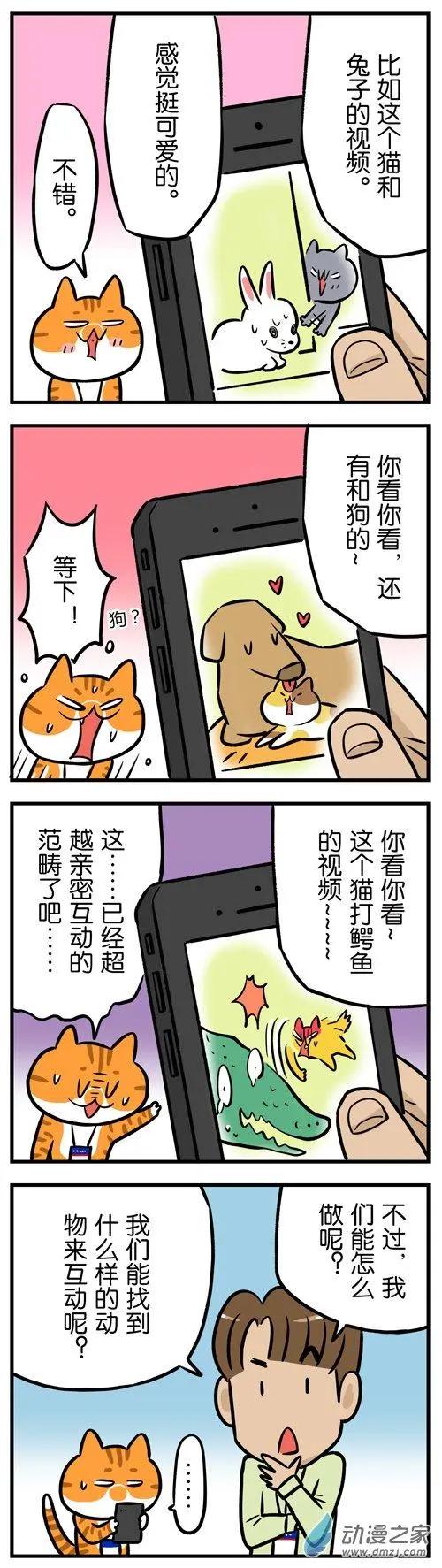 第26回 每一只猫，都是天生莫得感情的杀手-第26话