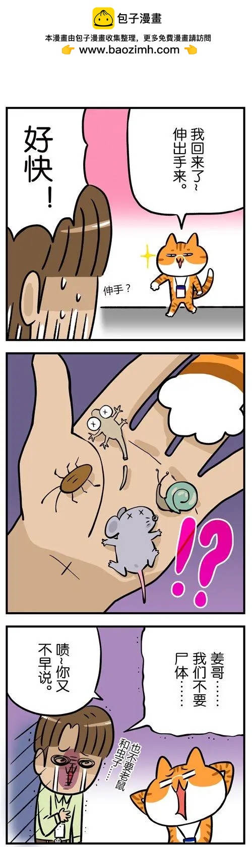 第26回 每一只猫，都是天生莫得感情的杀手-第26话