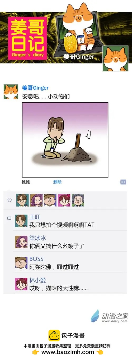 第26回 每一只猫，都是天生莫得感情的杀手-第26话