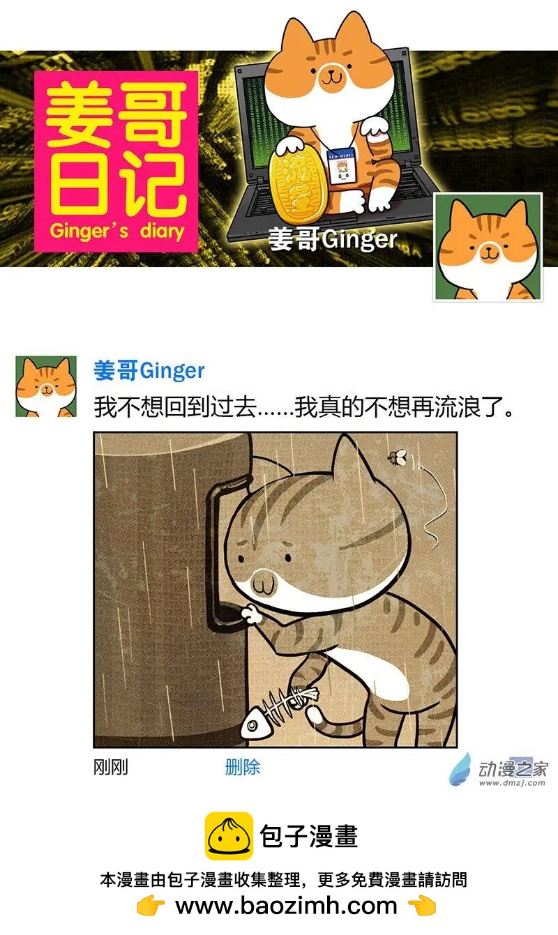 第28回 捡猫回家，是我这辈子最后悔的事-第28话