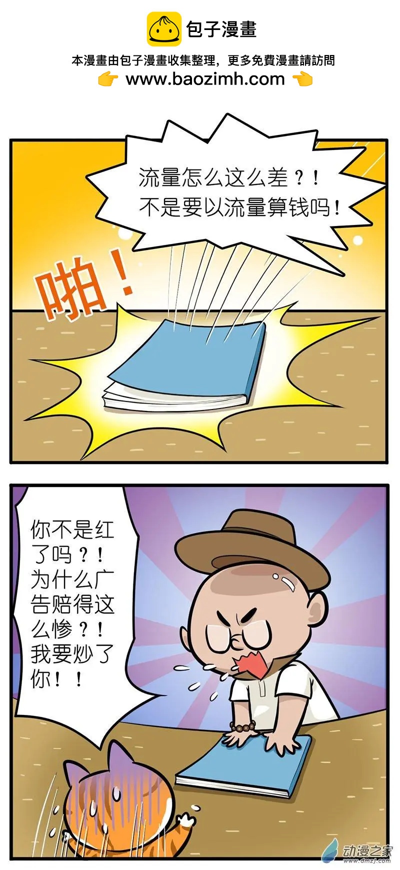 第28回 捡猫回家，是我这辈子最后悔的事-第28话