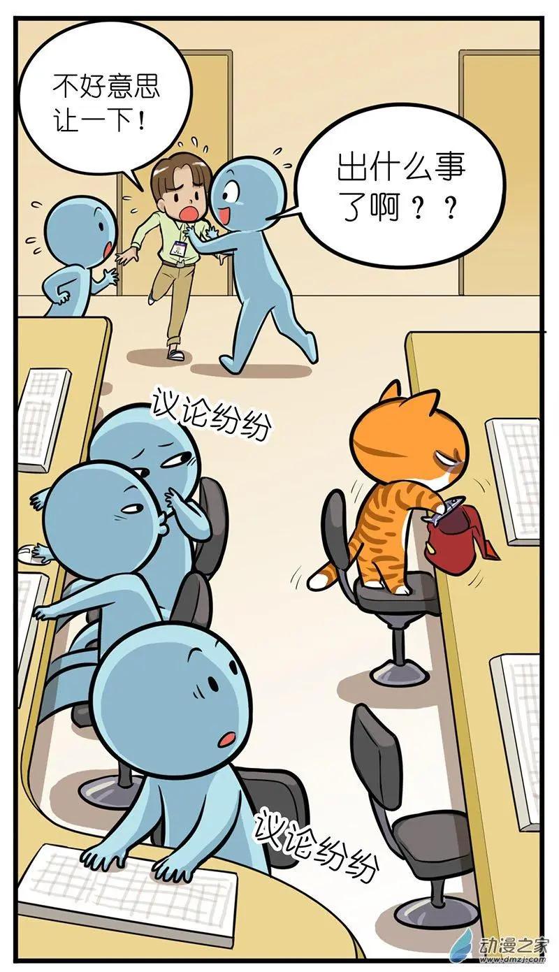 第28回 捡猫回家，是我这辈子最后悔的事-第28话