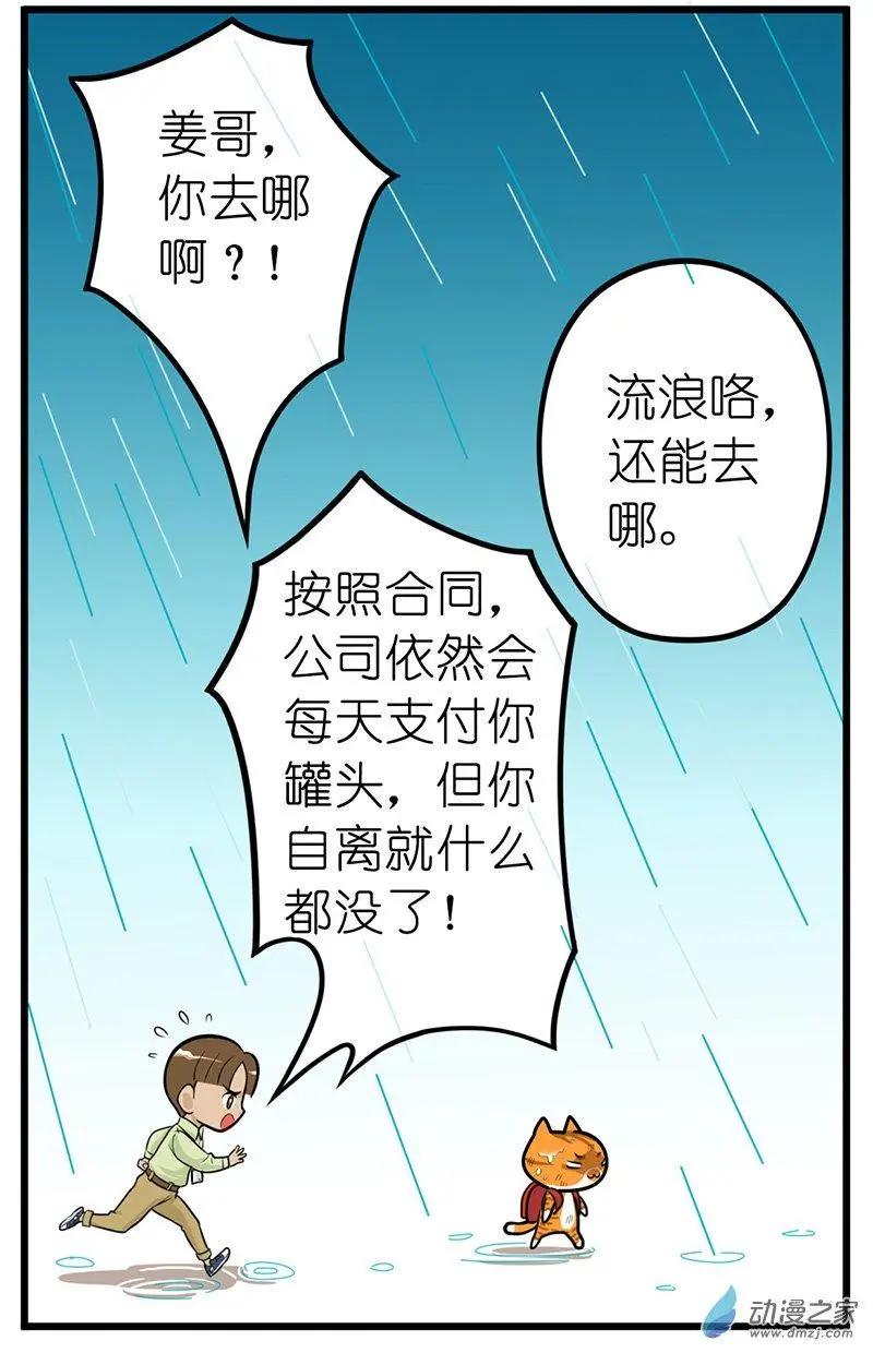 第28回 捡猫回家，是我这辈子最后悔的事-第28话