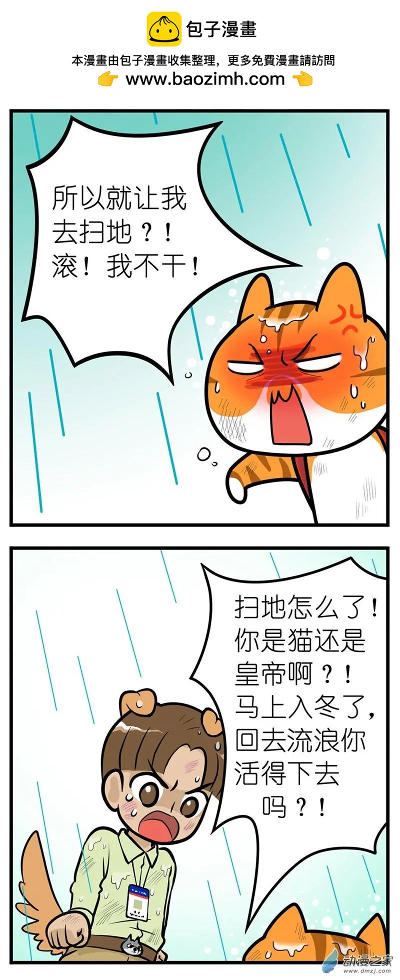 第28回 捡猫回家，是我这辈子最后悔的事-第28话