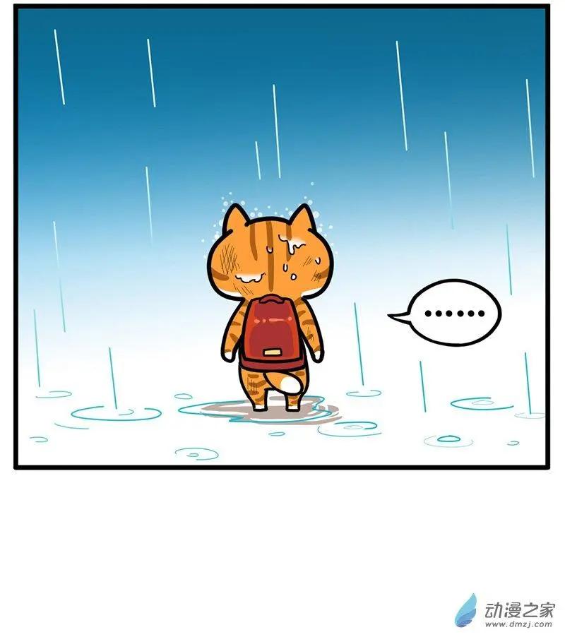 第28回 捡猫回家，是我这辈子最后悔的事-第28话