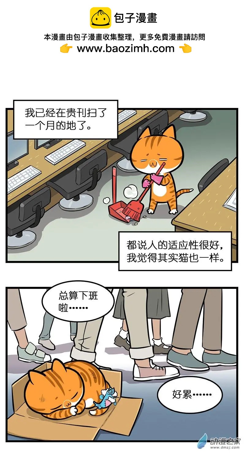 第30回 新开始-第30话