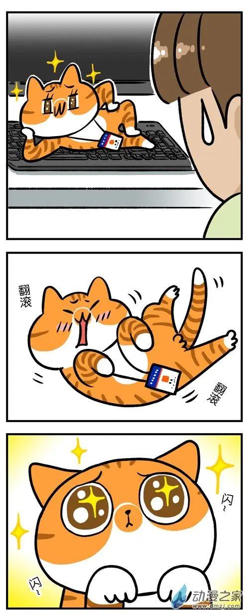 第06回 卖萌有多累，只有猫知道-第6话