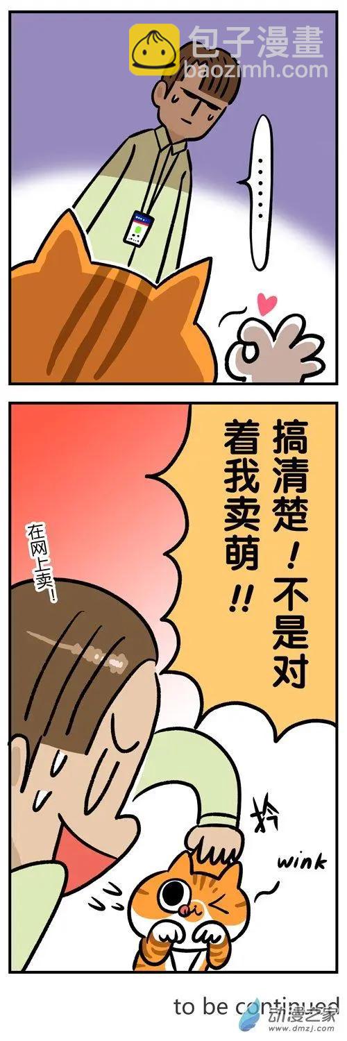第06回 卖萌有多累，只有猫知道-第6话