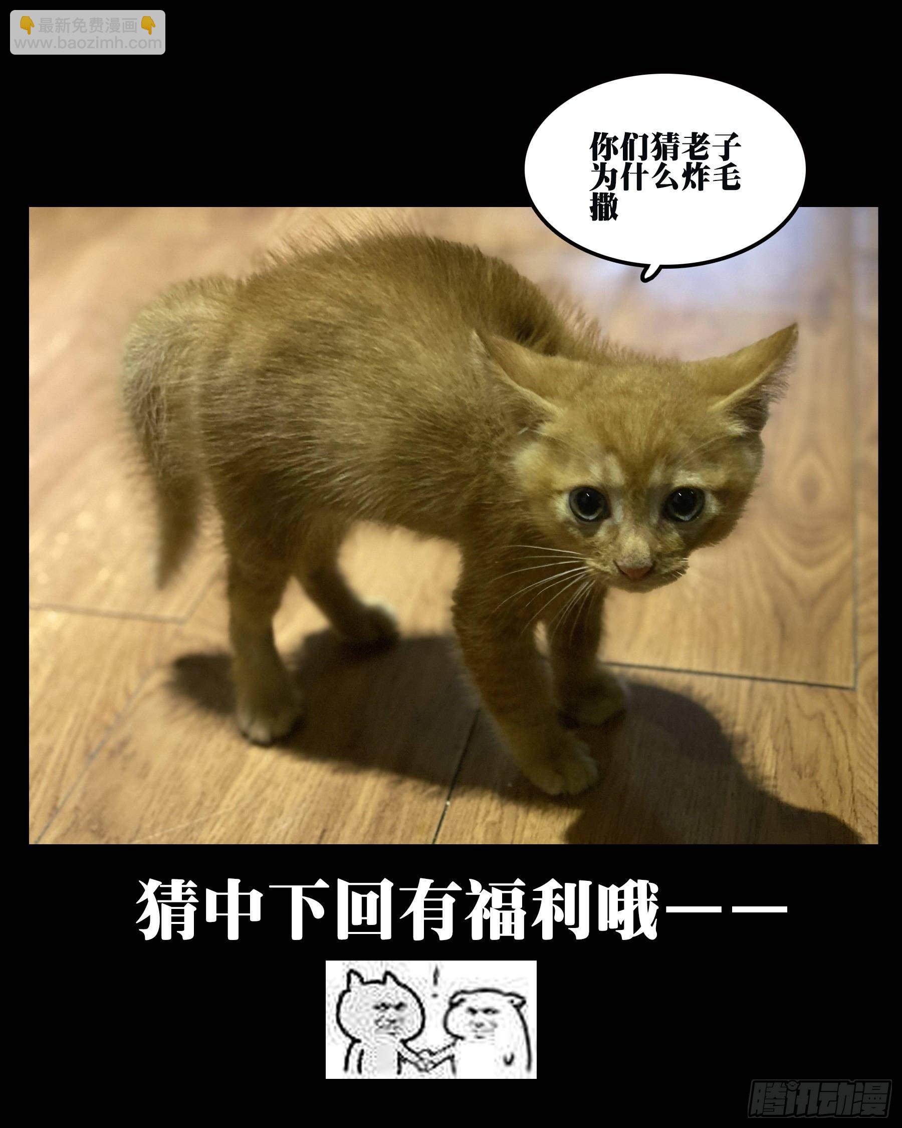 -第三十六回-穷途末路-第40话