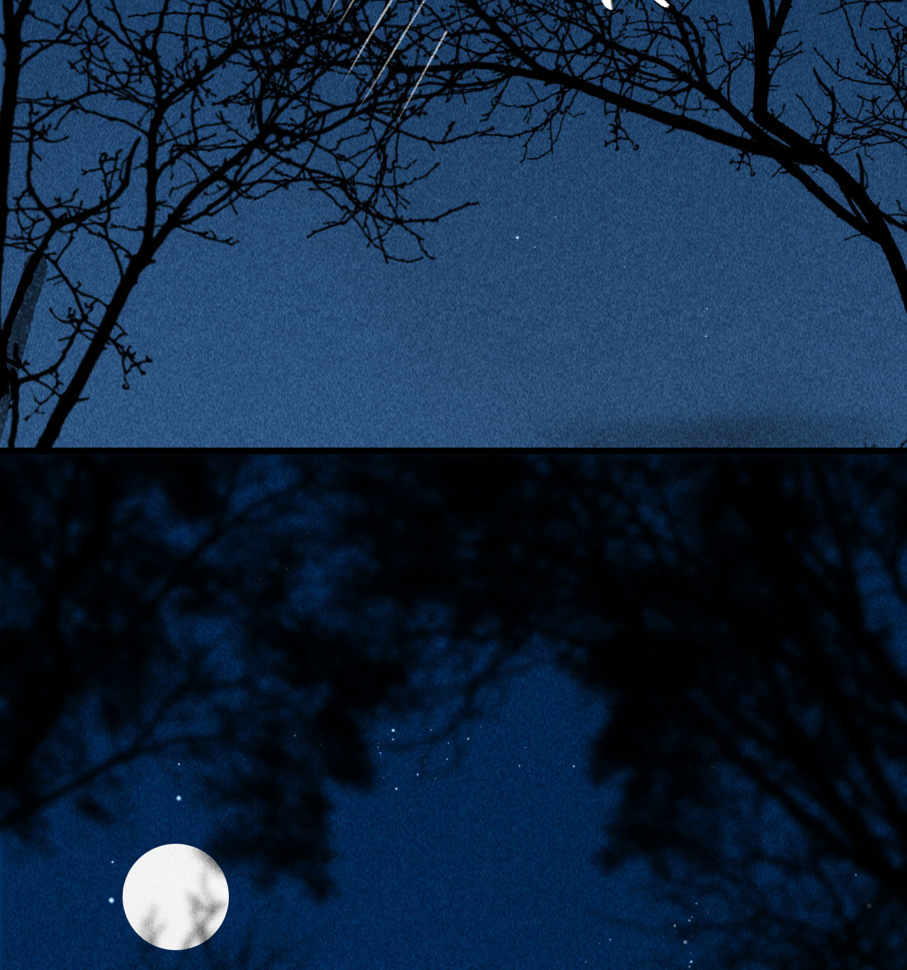 第三十六章 你不是我姐姐(1/2)-第38话