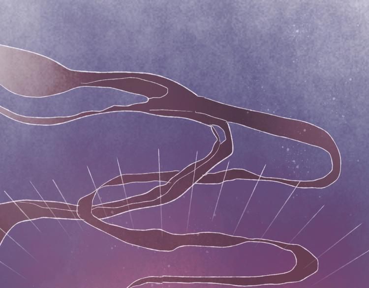 第20话 捕获成功？(1/3)-第22话