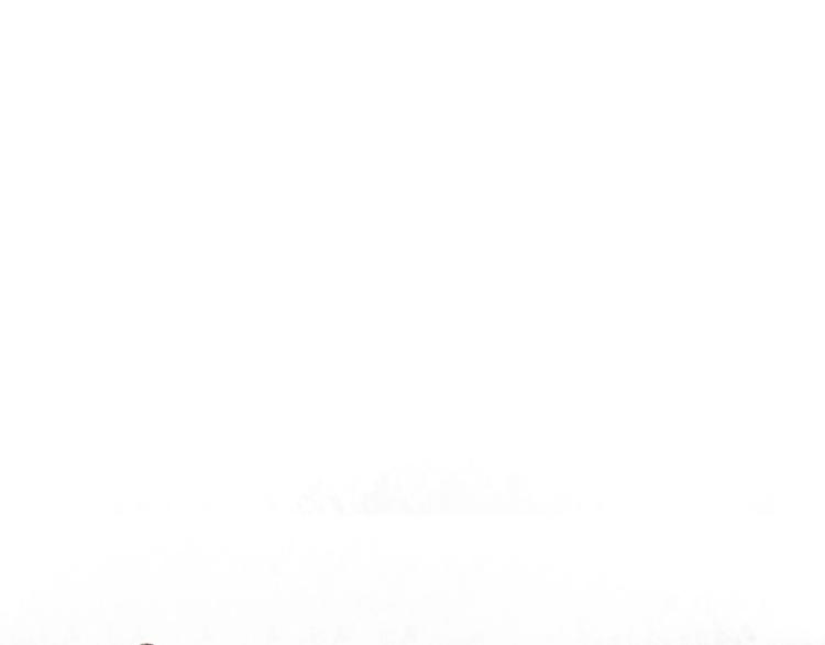 第22话 幺蛾子再袭(1/3)-第24话