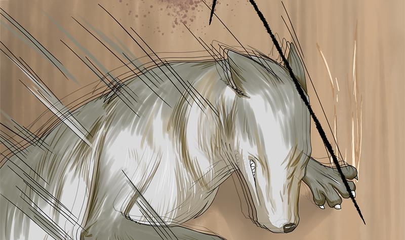 第40话 狼来了(1/2)-第40话