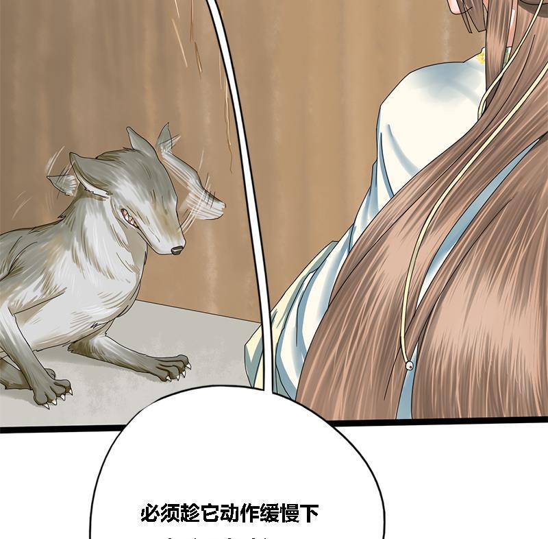 第40话 狼来了(1/2)-第40话