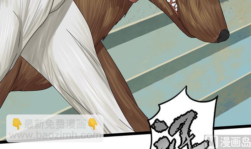 第66话 关门！放狗！(1/2)-第66话