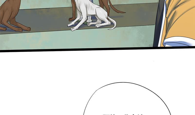 第66话 关门！放狗！(1/2)-第66话