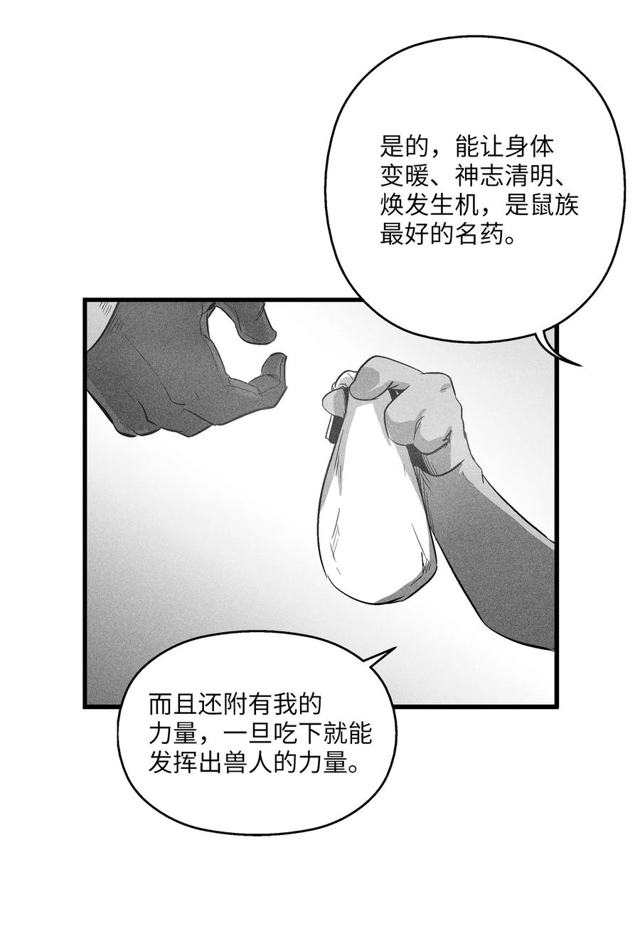 降獸至尊 - 064 被鼠王覬覦的原因(1/2) - 4