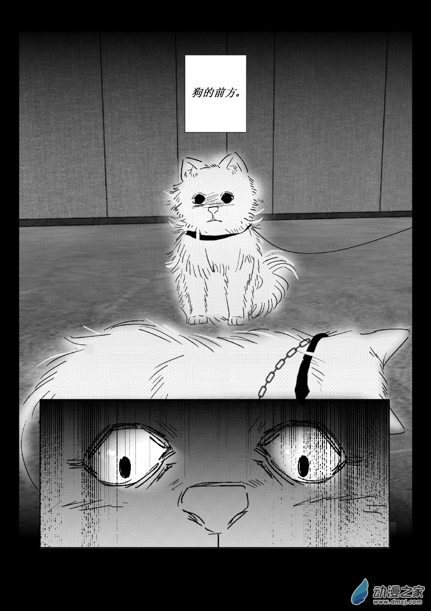 第37话 猫和狗和人（二）-第36话