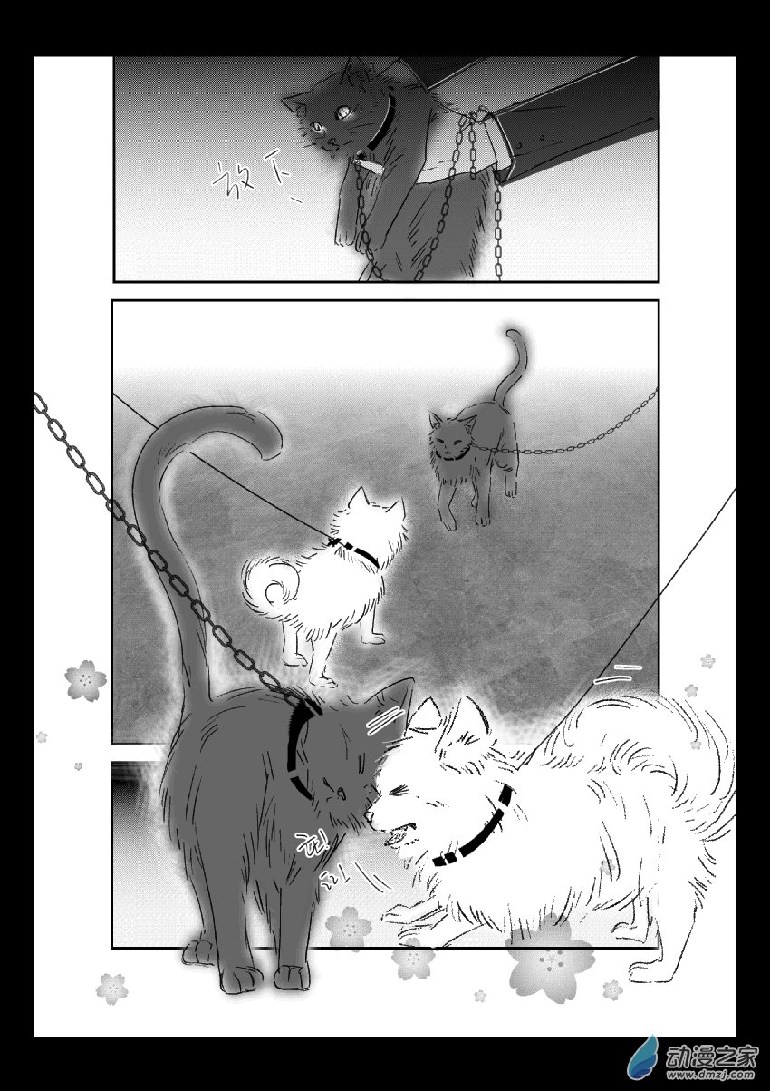 第37话 猫和狗和人（二）-第36话