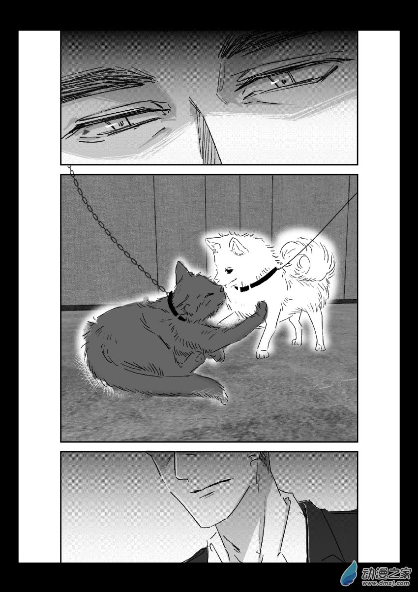 第37话 猫和狗和人（二）-第36话