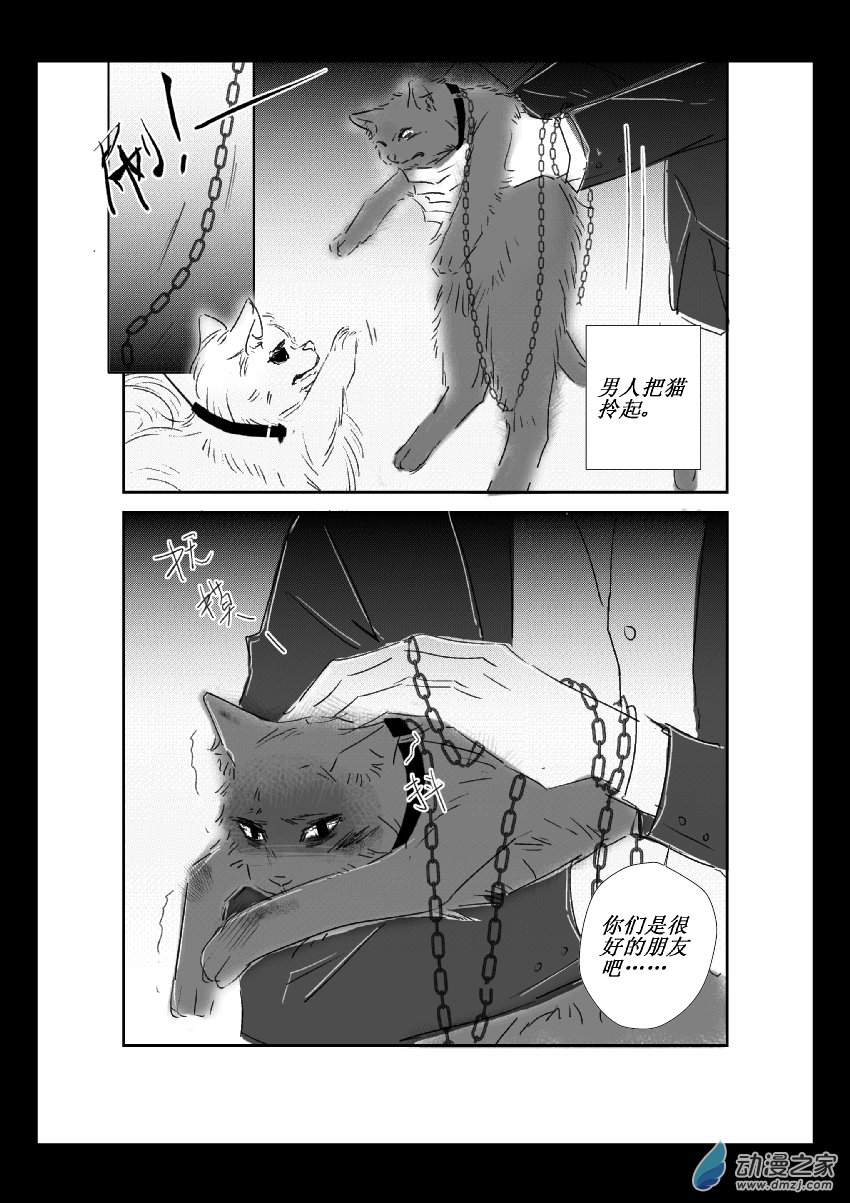 第37话 猫和狗和人（二）-第36话