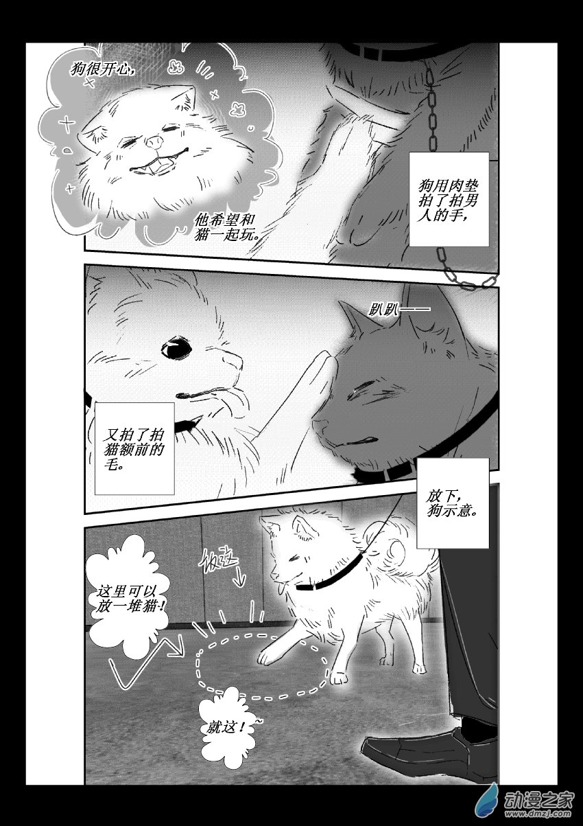 第37话 猫和狗和人（二）-第36话
