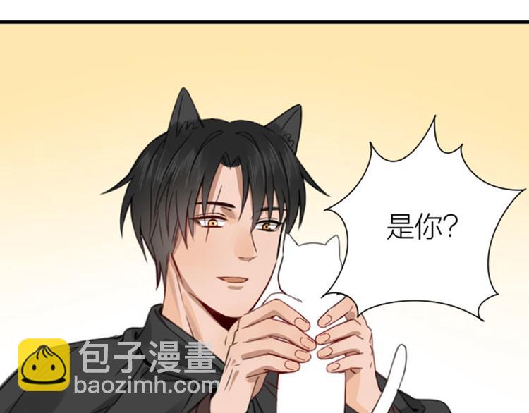 第190-191话 喵生滑铁卢(1/2)-第94话