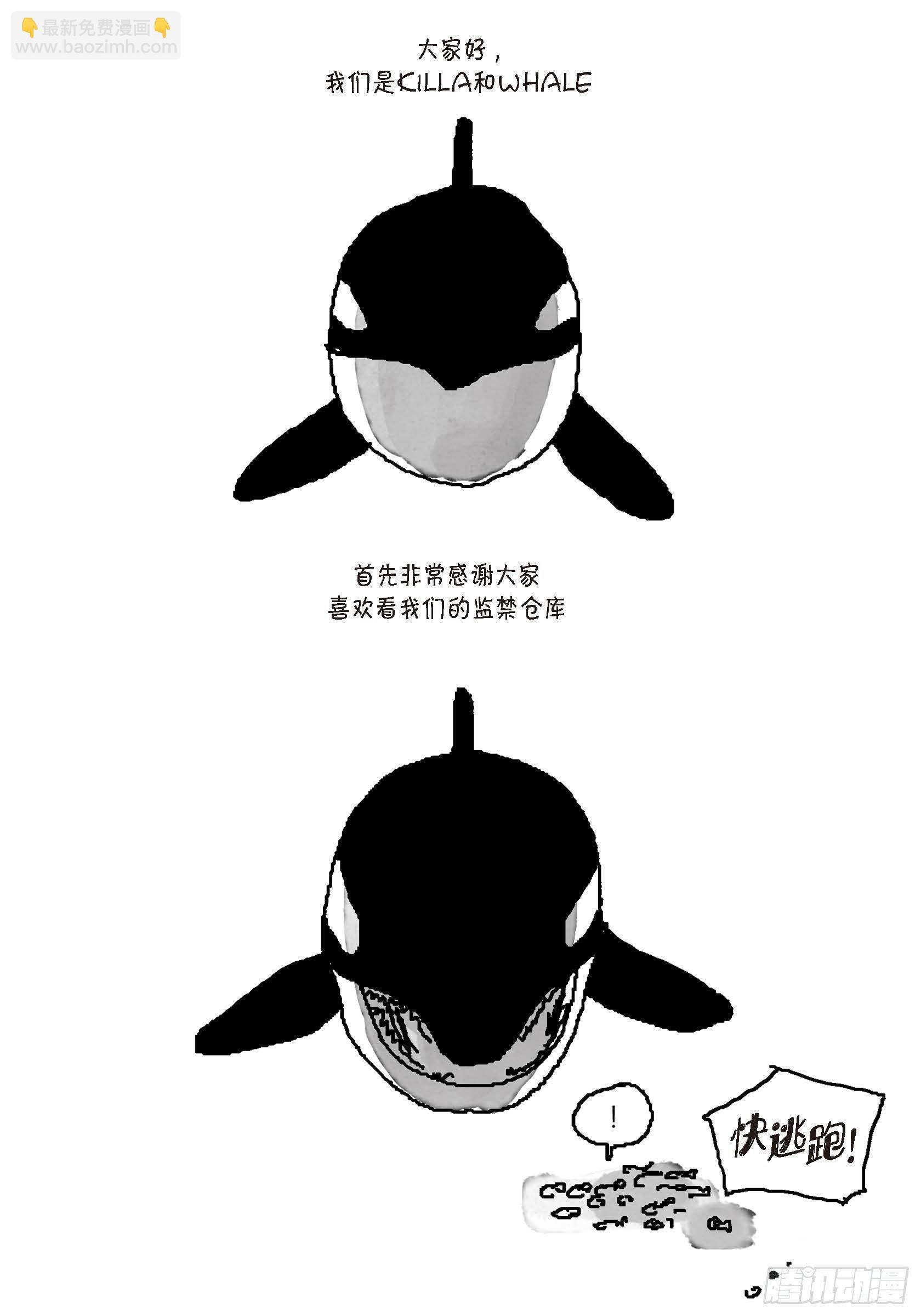 36.第一季后记(1/2)-第36话