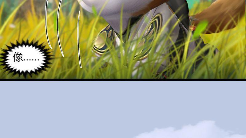 第35话：最后的考核(1/2)-第36话