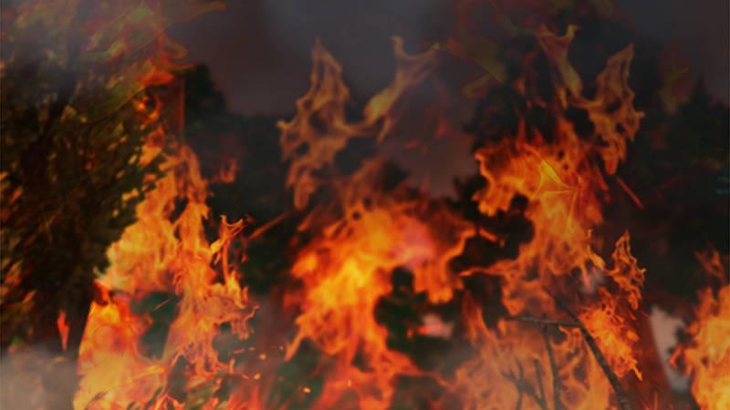 第69话：各方增援(1/2)-第70话