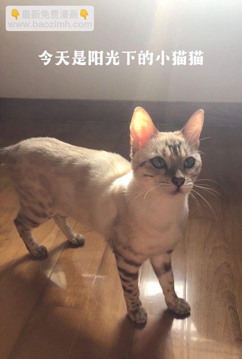 018 劲野，今天我酷吗？-第18话