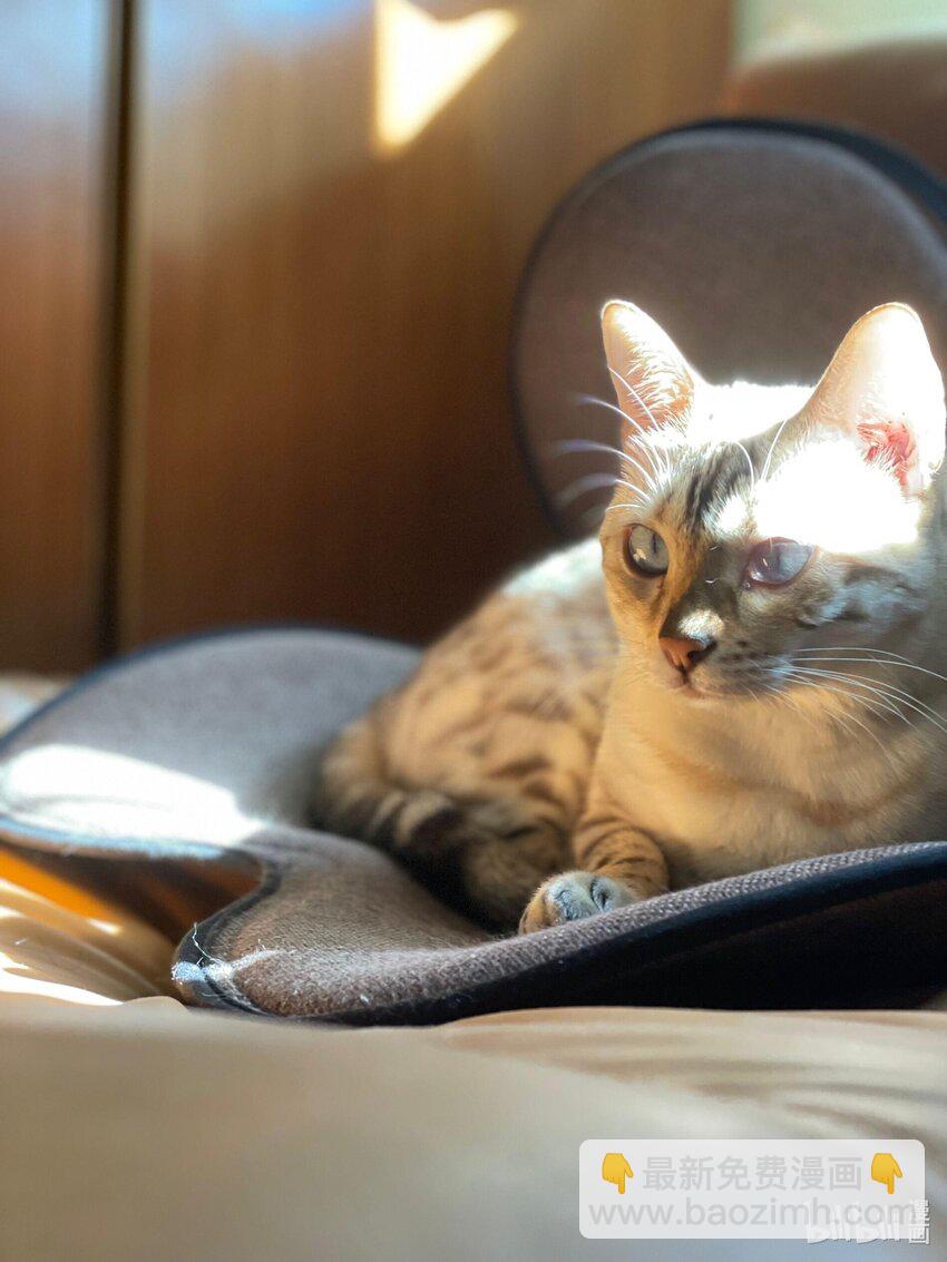 020 今晚要不要一起睡？-第20话