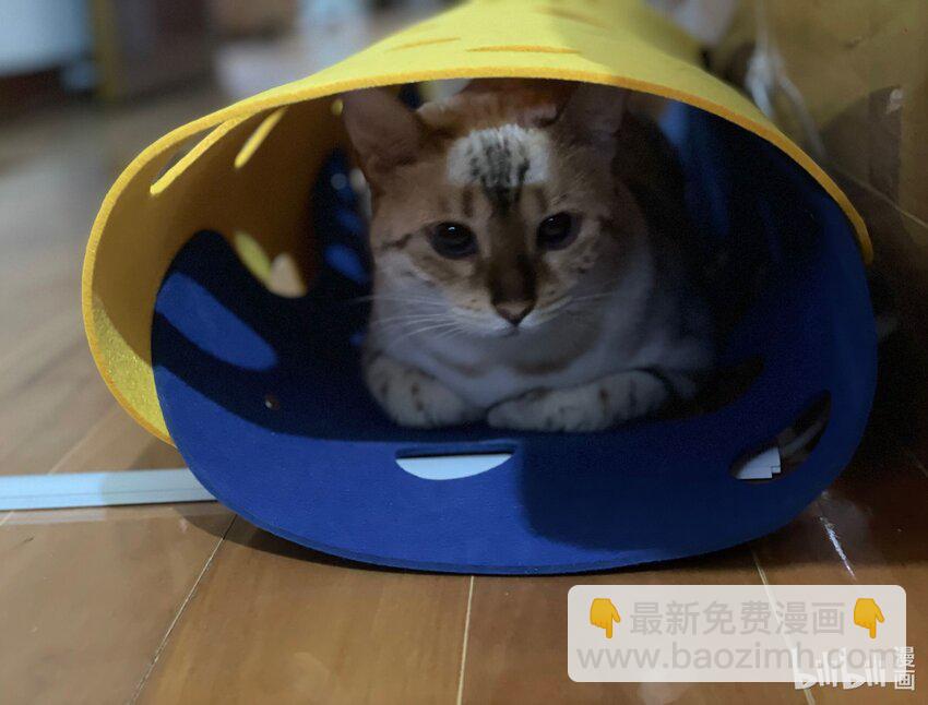 020 今晚要不要一起睡？-第20话