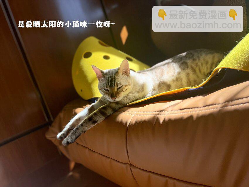 024 觉晓哥很讨女生喜欢吗-第24话