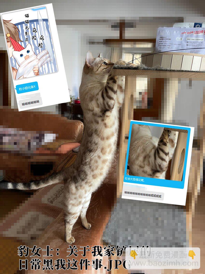 032 新同学？-第32话