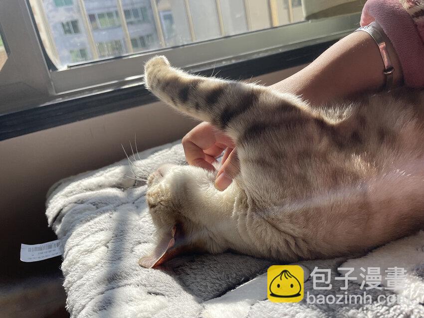 36 我只在意你-第36话