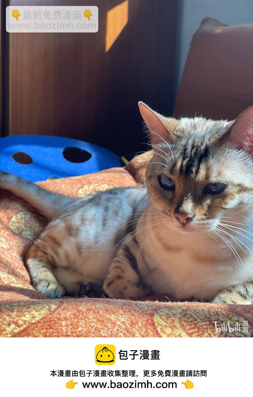 040 我喜欢你-第40话