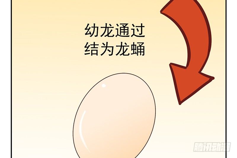 第2话 这是行走的人形金块(1/2)-第2话