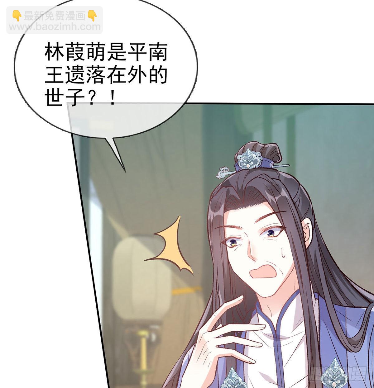 平南王的私生子？(1/2)-第56话