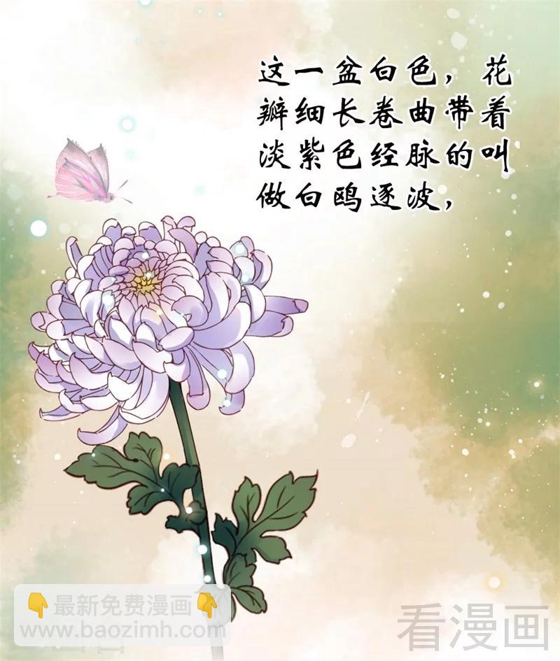 嬌女毒妃 - 第195話 - 2