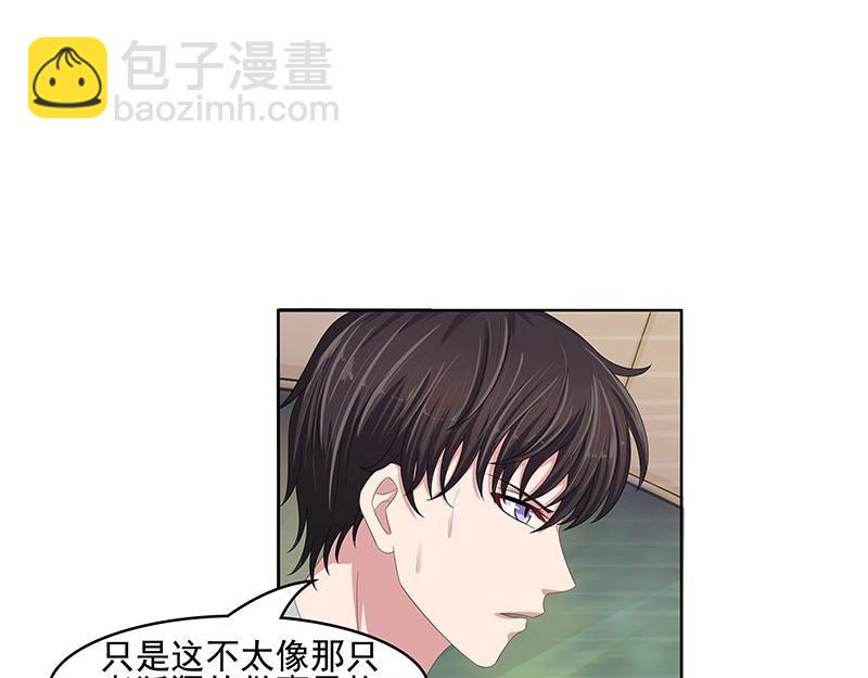 第51话(1/2)-第34话