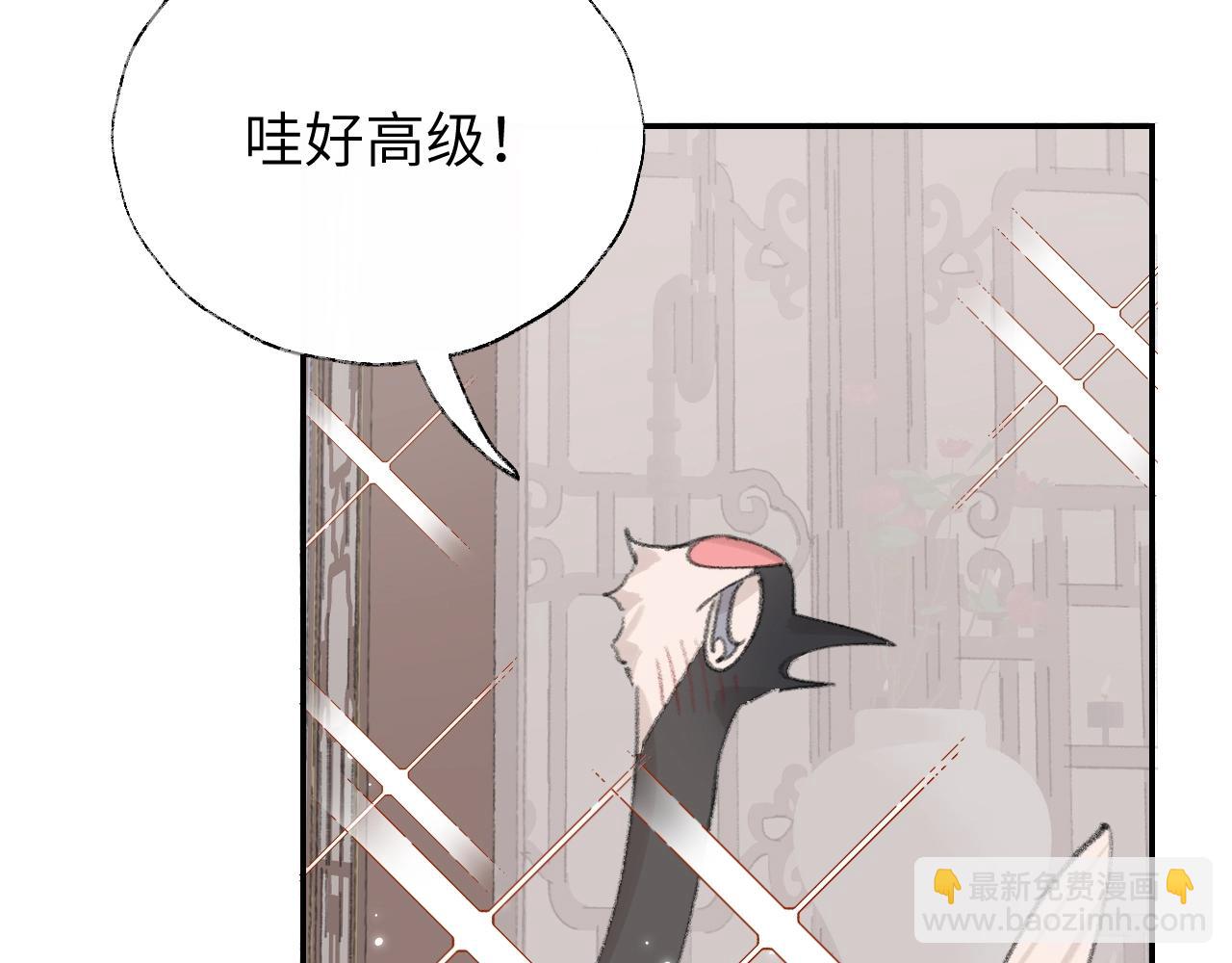 叫聲尊主我聽聽 - 第5章 悄悄看👀(1/2) - 8