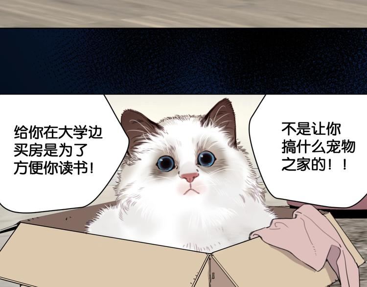 第12话 少女和猫咪(1/2)-第16话