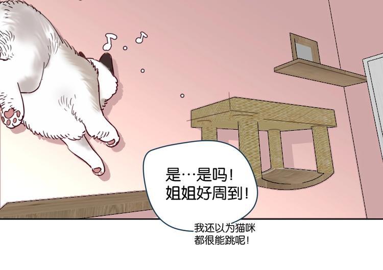 第16话 我想你了(1/2)-第20话