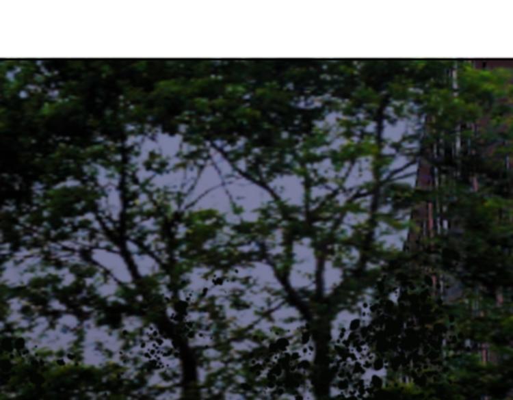 第31话 寻找老爷子(1/2)-第36话